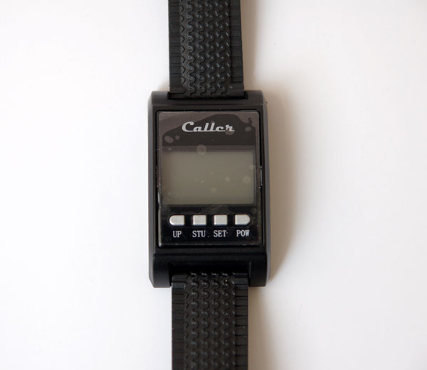 Thumbnail in Gallery Listing